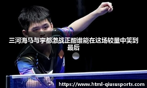 球速体育公司